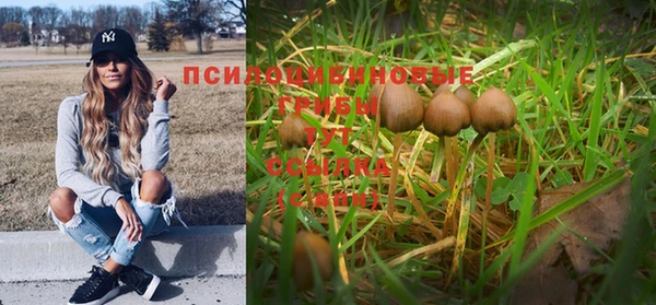 каннабис Надым