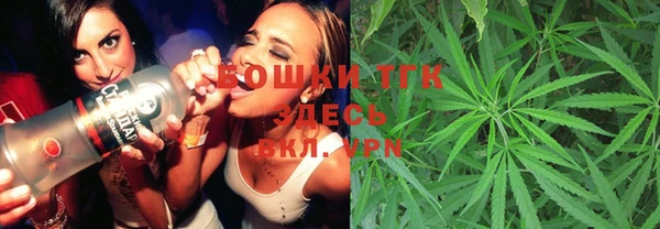 гидра Няндома