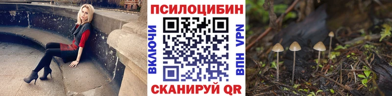 Купить  Лодейное Поле  Псилоцибиновые грибы мицелий 